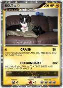 BOLT