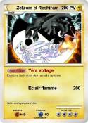 Zekrom et