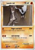 karate cat