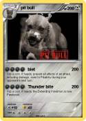 pit bull