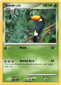 Toucan