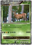 cerf elaphe