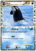 Orca