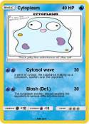 Cytoplasm