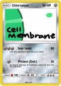 Chloroplast