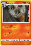flying fox