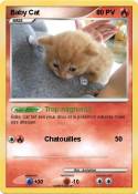 Baby Cat