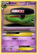 lizard