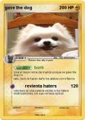 gave the dog