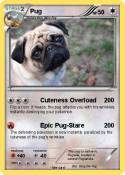 Pug