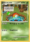 boule de poils