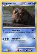 Hipopotamo