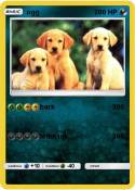 ogg