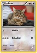 miau