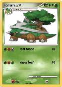 torterra