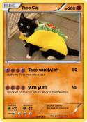 Taco Cat