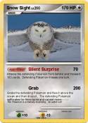 Snow Sight