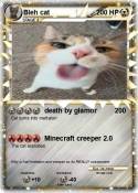 Bleh cat