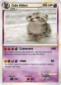 Cute Kitten