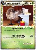 lapin au