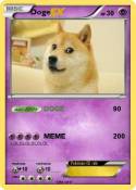 Doge