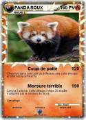 PANDA ROUX