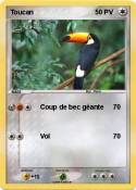 Toucan