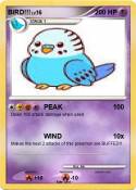 BIRD!!!