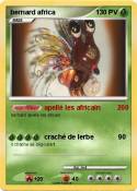 bernard africa