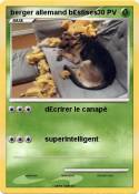 berger allemand