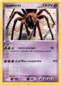 mygalos ex