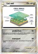 Cell wall