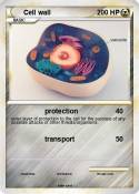 Cell wall
