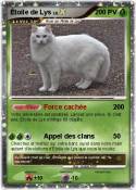 Étoile de Lys