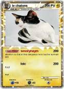 le chatons