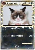 Grumpy Cat
