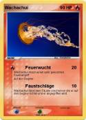 Wachachui