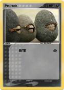 Pet rock