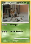 wolve-jacky-ros