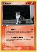 Prime cat