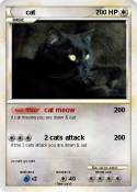 cat