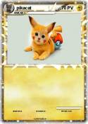 pikacat