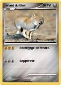 renard du tibet
