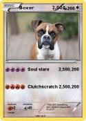 Boxer 2,000,