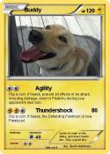 Buddy