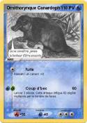 Ornithorynque