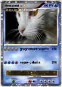 léeaupard