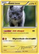 elektri boss