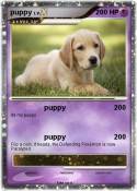 puppy
