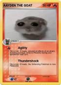AAYDEN THE GOAT